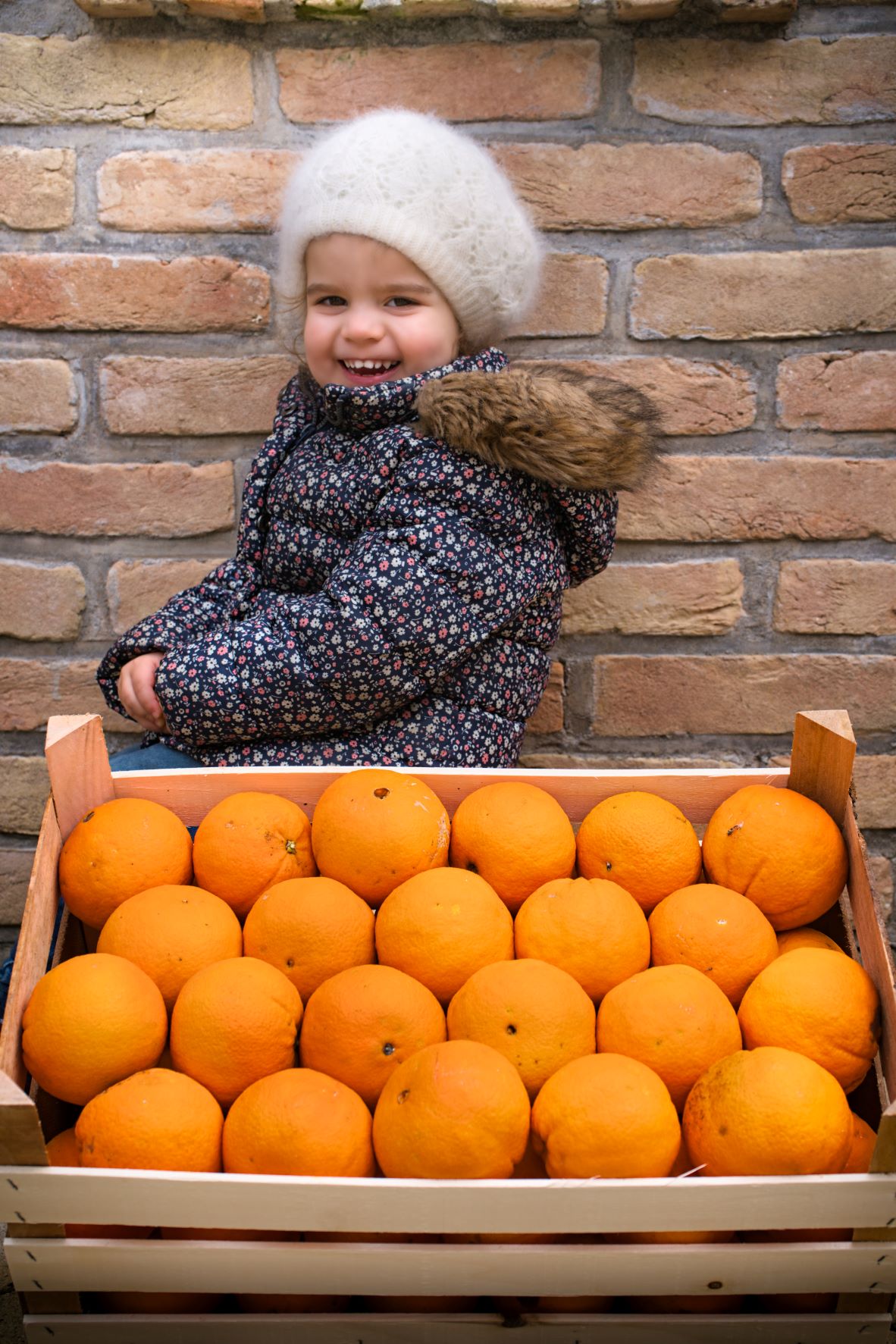 Orangen (Kiste 15-16 kg)