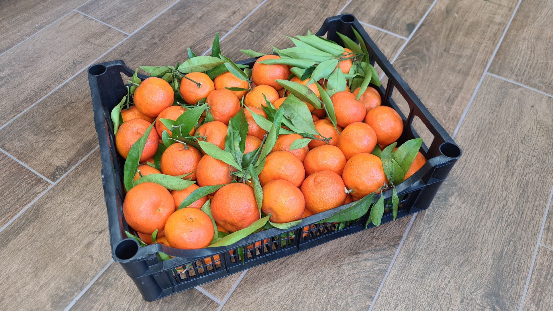 Clementinen ohne Kerne (mit Kiste ca. 5 kg)