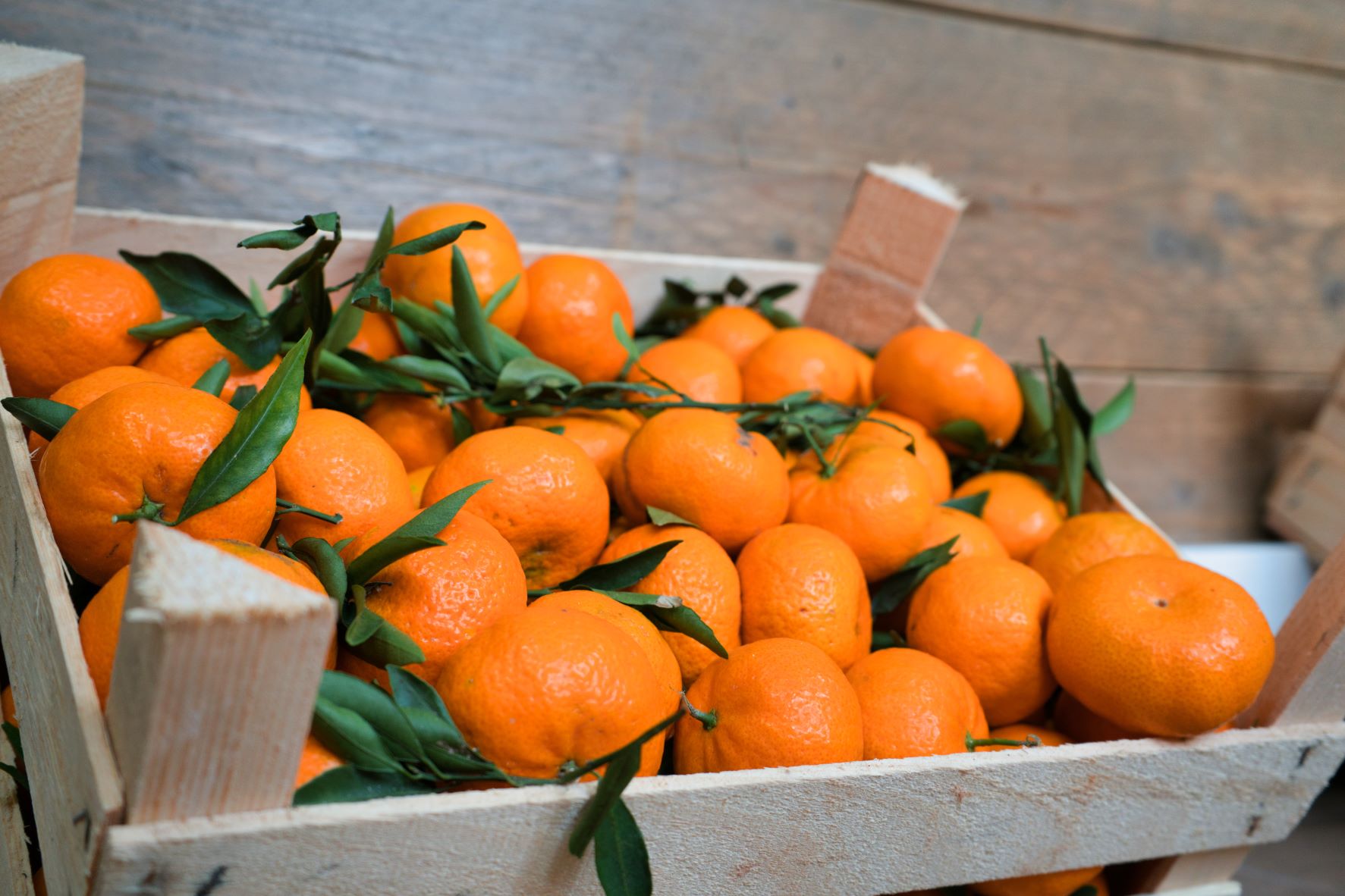 Mandarinen mit Kerne     (mit Kiste ca. 7kg)